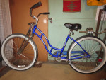 Schwinn Cruiser SS