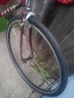 54cm "Ross ~ Signature 290S" 18-speed Road Bike