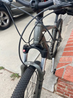 Specialized 29” mountain