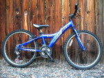GIANT MTX 225, MTX225 Kids Mountain Bike Excellent Condition