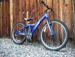 GIANT MTX 225, MTX225 Kids Mountain Bike Excellent Condition