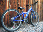 GIANT MTX 225, MTX225 Kids Mountain Bike Excellent Condition