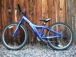 GIANT MTX 225, MTX225 Kids Mountain Bike Excellent Condition