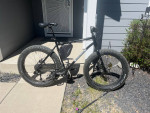 Motobecate xl lurch fat bike