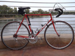 Ron Cooper (57 cm)