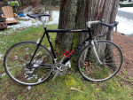 56cm Novara Strada road bike and trainer