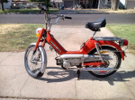 Moped