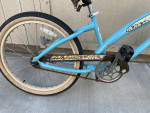 24” NIRVE ISLAND FLOWER BEACH CRUISER