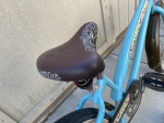 24” NIRVE ISLAND FLOWER BEACH CRUISER