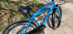 Cruiser Bike