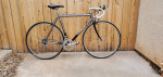 TREK Road Bike