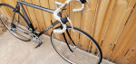 TREK Road Bike