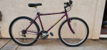 MONGOOSE Mt Bike