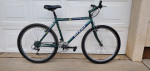 GIANT Mt Bike