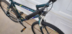 GIANT Mt Bike