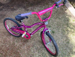 20" Schwinn Girl's Bicycle