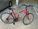 ROADMASTER Mountain fury