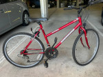 ROADMASTER Mountain fury