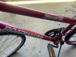 ROADMASTER Mountain fury