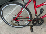 ROADMASTER Mountain fury