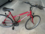 ROADMASTER Mountain fury