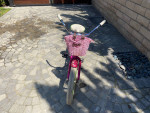 Kids beach cruiser