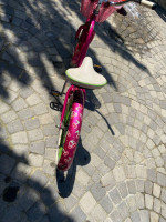 Kids beach cruiser