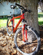 Specialized Hardrock Sport