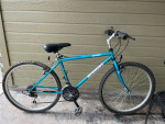 Nishiki Mountain Bike