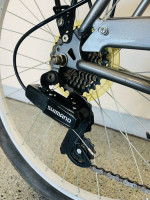 Jaguar Cruiser Bike