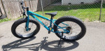 Fat Tire Bike Mongoose Argus