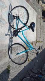 Bike for sale (back brakes dont work) will take ither offers
