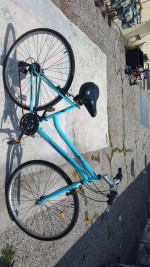 Bike for sale (back brakes dont work) will take ither offers