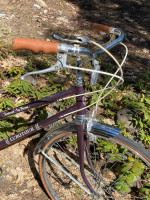 WOMAN'S DARK METALLIC PURPLE VINTAGE ROSS THREE SPEED BICYCLE CHROME