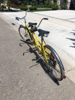 Schwinn tandem