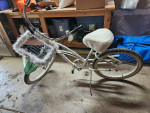 Electra Cruiser
