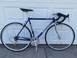 53cm Bianchi eros road bike