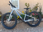 Trek Kids Mountain Bike