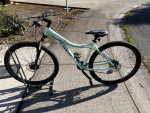 18.5 Inch Women’s Trek Skye Mountain Bike