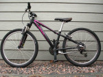 Specialized HotRock 24 Kids Hardtail Mountain Bike Excellent Condition
