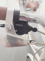 Beaumont plus by Retrospec bicycle