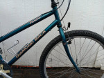 ladies Diamond Back hybrid commuter