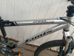 Jamis mountain bike