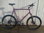 Custom mountain bike