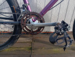 Custom mountain bike