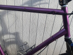 Custom mountain bike