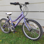 Emmelle festival BIKE