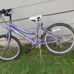 Emmelle festival BIKE