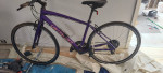 4 mountain bikes 21"Fuji 17"fugi 17' specialized sirrus & Trek
