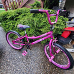 Freestyle Cool BIKE